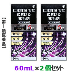 【第1類医薬品】【お得な2個セット】【日邦薬品工業】ケカール60mLミノキシジル5%配合(抜け毛・育毛)【RCP】