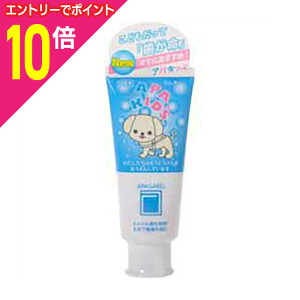 y|Cg10{F11܂܂邨 vGg[zyTMzApK[h ApLbY 60g 񂹏i