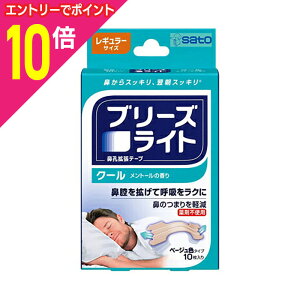 【ポイント10倍:10月まるまるお得 ※要エントリー】【佐藤製薬】ブリーズライト クール レギュラーサイズ ベージュ色タイプ 10枚入 ※お取り寄せ商品