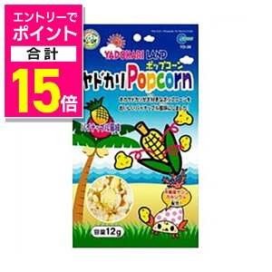 y|Cgv15{F11܂܂邨 vGg[zy}JzhJ|bvR[ pCibv12g ybgpi 񂹏i