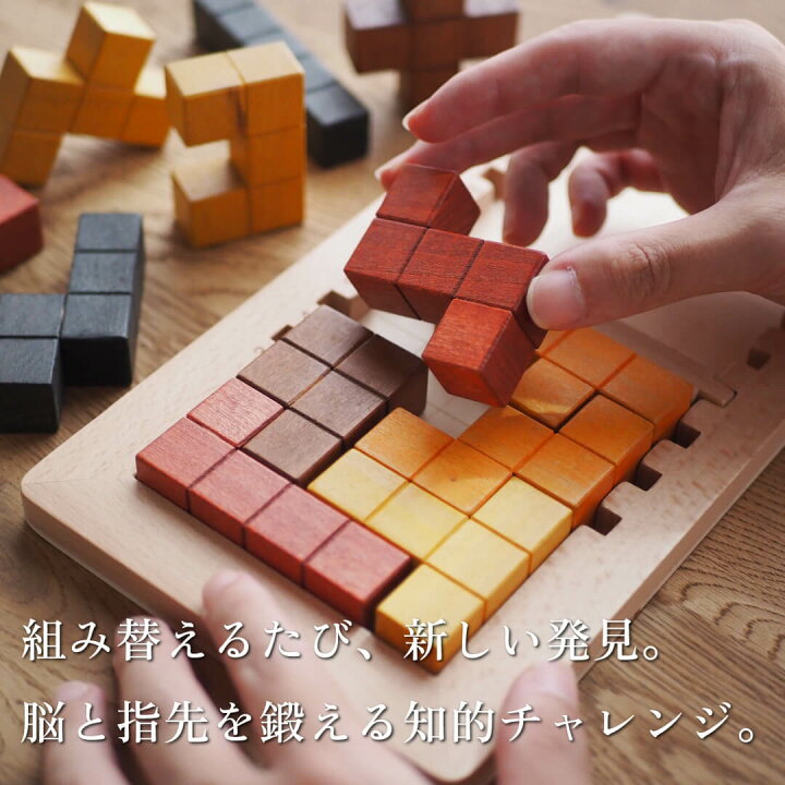 楽天市場】ココロの積み木 パズルブロック / 問題集128問付き 問題集 