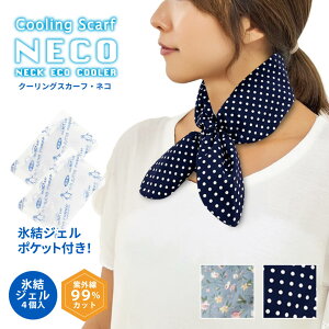 N[OXJ[tNECO / N[lbN ۗܓ |Pbg }t[ fB[X  Ђ ⊴ MǑ΍ UV΍ ΍ O΍ y y AEghA ʋ ʊw ^ 