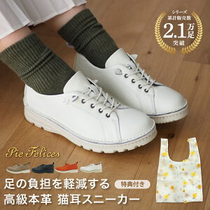 yTCYzPieFelices sGtFZX C^AU[ LXj[J[ / O fB[X { C Ȃ ɂȂ y ₷ v _ Dola ASW {v L 4E b 