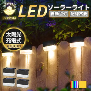 \[[Cg 4Zbg Op h K[fCg LED FREESIA dF IP65 Px 邢 Őv \[[ LED ZT[ _ ÃZT[  Ɩ O  뉀 \[[[d