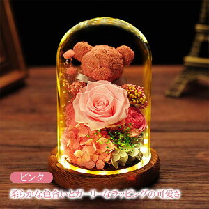 \[vt[ Ό Cgt ̓ v[g  o ͂Ȃ Mtg t[{bNX ԑ NX}X ̓ a v[g j LO  hV̓ EGfBO