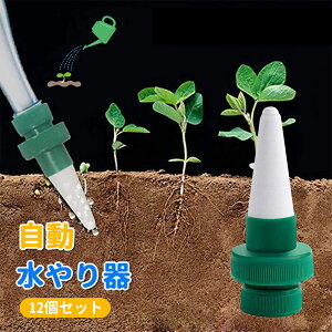Lbv  A 蓖 12Zbg  A 傤 @ UVXe TCN    ybg{gΉ Up 