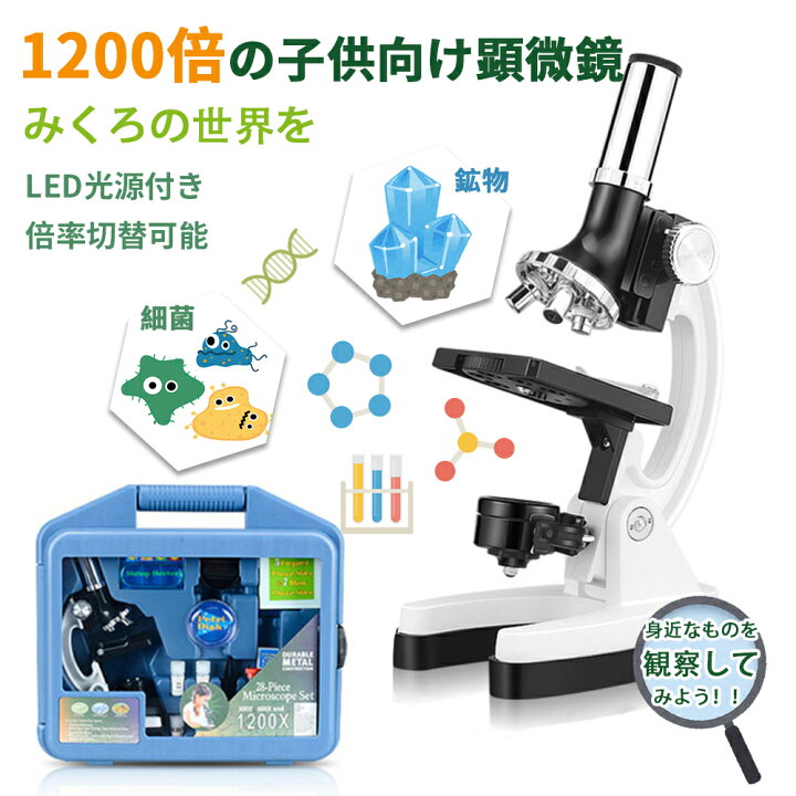 楽天市場】顕微鏡 学習用 子供 初心者 300x 600x 1200x LEDライト 