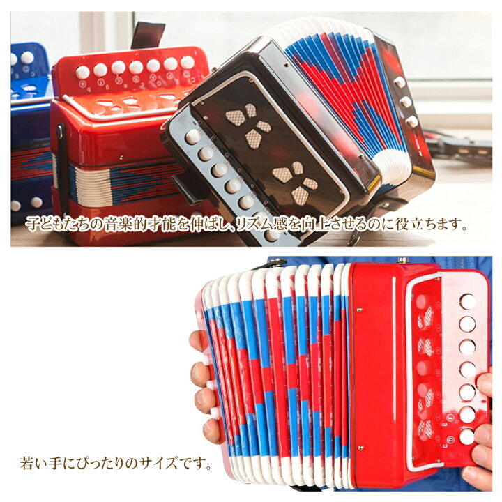 楽器バッグ ピアノ アコーディオンケース 【】 大人 初心者向け 🎓