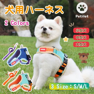 Petilet n[lX  L ybgp[ǃn[lX h~ hbO ߉\ Ԕ ʋC y S  EȒP U P WMO jO op