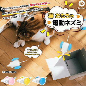 L dlY~  Petilet dlY~ LplY~ L  dlY~  Lp USB[d  L  lC lR ˂ ybg  L Vѓ cat toy qL 