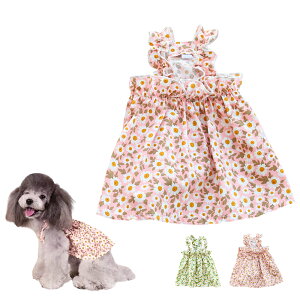 Petilet L ^ t s[X hX Lm  { L~ s eBA[h ʋC Lk  ybg