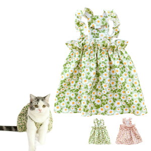 Petilet L ^ t s[X hX Lm  { L~ s eBA[h ʋC Lk  ybg