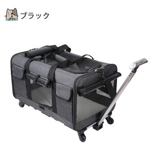 Petilet L[obO ybgL[ Lp  L[ L p\tgN[g L R ̃LAobNpbN płpi LpJ[g яoh~ ʉ@ U s Lp 