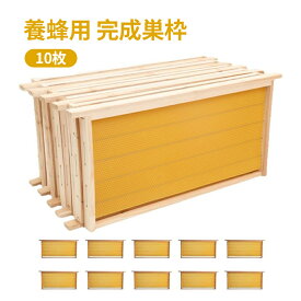 [楽天4位]ミツバチ 巣礎 巣 礎 巣枠 養蜂器具 完成巣枠 巣礎付き 蜂の巣フレーム セイヨウミツバチ シート 木製フレーム蜜蝋の巣の基礎 養蜂箱 蜜蜂巣箱 巣箱 蜜蜂巣箱10 フレーム 養蜂器具蜂蜜蜂の巣箱 蜂蜜箱 杉材 蜂ハイブ ワックスを煮る/乾燥巣箱 耐久性のあります