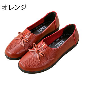 V[Y p tH Oo ₷ IV  CXg[ wlC RۖhL y K ɂ Ȃ VjAV[Y L JWA ̓ Mtg 傫TC