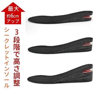 V[NbgC\[ ~ 22.5cm`27.0cm fB[X Y ő6cm OiK j  V[Nbg \  u[c Xj[J[ r r  グ