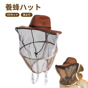 {Inbg Xq یXq 悯Xq h 悯t   n` Xq  lbgtXq wbgthIlbg Ă~ O΍ ܂ݎ[\ {IƗ{IXq 