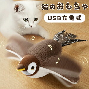 ̂ L  AL d H΂ USB[dÂ Â AybgLpALpV~[VC^Ne L̂B