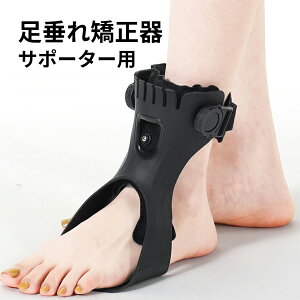 ꋸ T|[^[p   AFOu[X ܐ Œ ؖ ɂ݌y ߉\ X|[c jp p tBbgE/ S/M/L/XL ꖇ