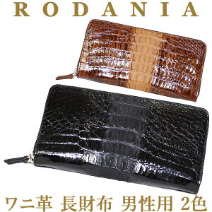 ijpj@z@_jAjv 2FubNEuEijRODANIA 512ōiEJC}NR