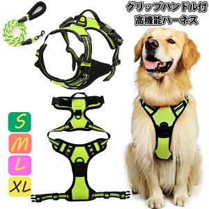 yzt`uhbO  \tgn[lX n[lX ^ ^ ^ ^    S11F ˑf 킢 Jt ԈS  NbV 