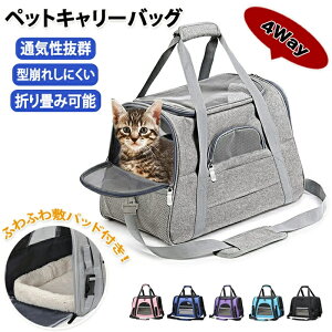 ybgL[ L[P[X ybgL[P[X ybg 莝 a@ o Lv ڂ UP[X ^ y ʋC bV bV ʋCQ s 