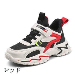 ňl^LbYV[Y ^C ʊwC qC LbY WjA Xj[J[ ʊw jOV[Y qǂ ̎q j̎q WjA y RۖhL ₷ ^ ʊw nCL