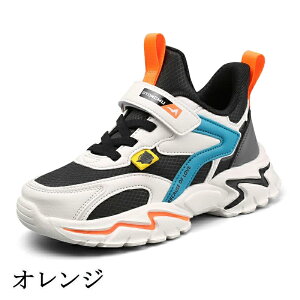 ňl^LbYV[Y ^C ʊwC qC LbY WjA Xj[J[ ʊw jOV[Y qǂ ̎q j̎q WjA y RۖhL ₷ ^ ʊw nCL