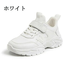 ňl^LbYV[Y ^C ʊwC qC C LbY WjA Xj[J[ ʊw jOV[Y qǂ ̎q j̎q WjA y RۖhL ₷ ^ ʊw n