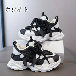 ňl^LbYV[Y ^C ʊwC qC C LbY WjA Xj[J[ ʊw jOV[Y qǂ ̎q j̎q WjA y RۖhL ₷ ^ ʊw n