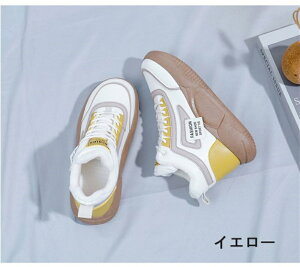 ňl^Xj[J[ fB[X O Xb| nCJbgXj[J[ N g ₷ ₷ fB[X V[Y Xj[J[ nCJbgXj[J[ 