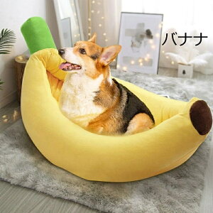 �ň��l����^�y�b�g�x�b�h �y�b�g�n�E�X �o�i�i ������ �� �x�b�h �L�x�b�h ����~�� �􂦂� ���~���t�� �_�炩 �������� �ӂ�ӂ� �������� �ʔ��� ���� �y�b�g�p�Q�� �N�b�V���� �H�~ ��