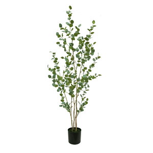 [y1Nۏ؁ztFCNO[ ϗtA tFCN  lHϗtA ^ G} ze CeA A  j    lC ItBX  Vv R L ϗt 15