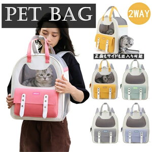  ybgobO bN ybgL[obO ʋC yʂo ybgpi U o LobO y ^ ybgobOLpi  L ˂ lR LobO 傫Lp 