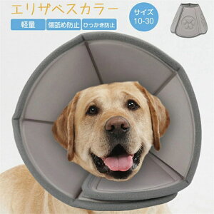 GUxXJ[ L  GUxX pi r Hp  rߖh~ \tg ӂӂ p LObY ObY 炩  y p ی r ~  h~  EFA yb