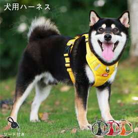 最安値挑戦／犬 ハーネス 小型犬 中型犬 大型犬 おしゃれ かわいい 脱げない 柴犬 ロック ハンドル ペット 散歩 補助 優れた耐久性 迷子防止 小型犬 中型犬 大型犬カラフル・ベーシック ショルダーリードセット
