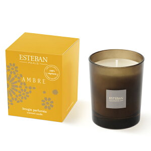 GXeo Ambre/Ao[uLhvGXeo { ESTEBAN OXLh Lh A}  [tOX A}Lh v[g XC 낤y}