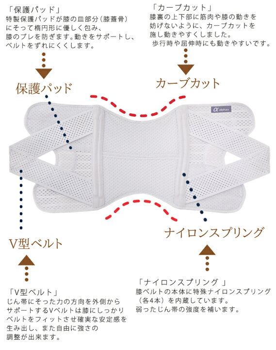 お医者さんのがっちり背すじベルト M〜L L〜LL AP-2028 アルファックス │ サポーター 背中 背筋 高齢者 介護用品 姿勢 矯正ベルト 背すじ 健康 姿勢保持 背筋ベルト 骨盤ベルト 健康管理 美容 お年寄り シニア 介助者 アイディア用品 便利グッズ ギフト プレゼント