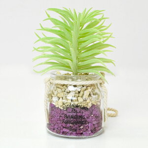 y݌Ɍzy\zBOTANICALIKO {^jJR nMOtOXusNvn[oN[̍GA[vc tOX F [tOX CeA G