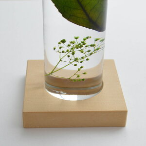 y݌Ɍzyz؁uvpuЂ̂vTCYETCYpyPizyn[oEzyzyTJLzyMtgzy_zy_Izyzy΁zy_Ёzy