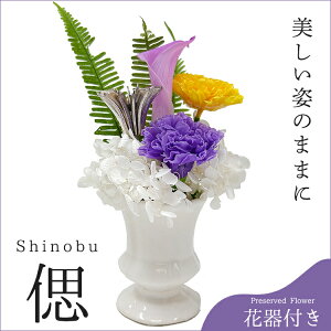 vU[uht[uÁv̉ԊtmԃAWnvU[uht[  Ԋt Ԓd 䋟 d  Mtg ~ i ފ ͂Ȃ ԕsgp @  J[l