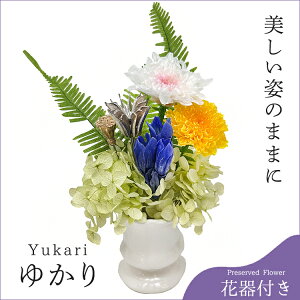 vU[uht[u䂩v̉ԊtmԃAWnvU[uht[  Ԋt Ԓd 䋟 d  Mtg ~ i ފ ͂Ȃ ԕsgp @  