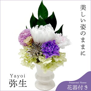 vU[uht[u퐶v̉ԊtmԃAWnvU[uht[  Ԋt Ԓd 䋟 d  Mtg ~ i ފ ͂Ȃ ԕsgp @ ֋e |