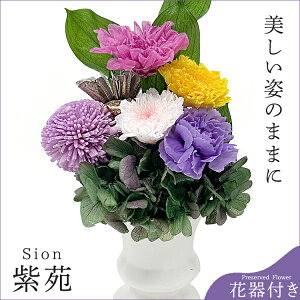 vU[uht[uv̉ԊtmԃAWnvU[uht[  Ԋt Ԓd 䋟 d  Mtg ~ i ފ ͂Ȃ ԕsgp Ƃˋe 
