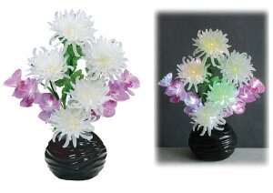 ~iXLEDueƗvkPCl48cmR[heX^[v[gIyLEDzy܂tzyezyzyLEDzydCzy~zy~񓔁zy䋟zyV~zy~z