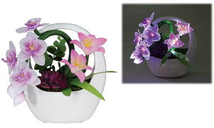 ~iXJ[mLEDuvkPCl23cmR[heX^[v[gIyLEDzy܂tzyzyLEDzyCgzydCzy~zy~񓔁zy䋟zyV~zyi