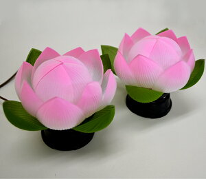 y΁zydCzؘ@ꓔ {JVkPCl12.5cmR[heX^[v[gIy܂tzy@Cgzy@zyLEDzy~zyV~zyizyCeAC