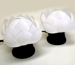 y΁zydCzؘ@ꓔ kPCl12.5cm~񓔂̂qlɕ֗ȂR[heX^[v[gIy܂tzy@CgzyLEDzy~zy@zyV
