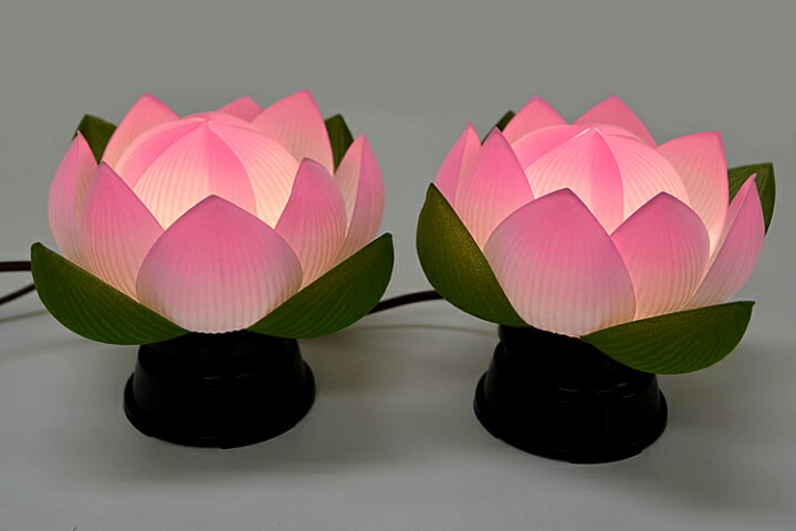 工場直送 電池式 コードレス 一対 華蓮一灯 青ボカシ Pc製 高さ12 5cm Led お盆 蓮 提灯 インテリアライト 初盆 盆飾り 祭壇 法要 仏壇 Materialworldblog Com