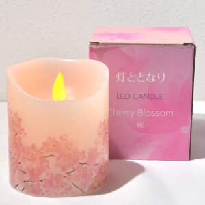 LEDLh ƂƂȂ uvjz[\N LED|\N Pi 䋟 XC p LED낤 LED   ~ i Mtg ~ LED dr ]ʊG낤 V~䌩  L
